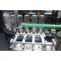 6 cavity full-automatical stretch blow molding machine